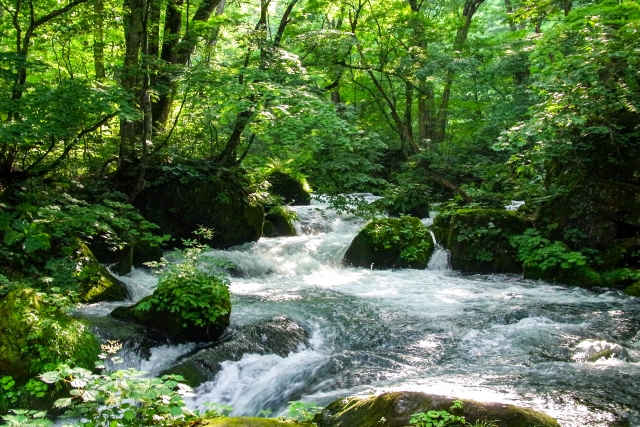 川の流れ